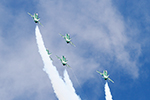 Saudi Hawks